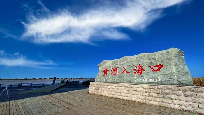 △黃河入海口位于山東東營市墾利區(qū)。(總臺央視記者彭漢明拍攝)