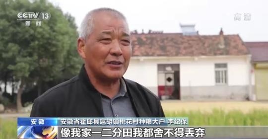 十八連豐！秋收近九成 我國糧食產(chǎn)能穩(wěn)步提升