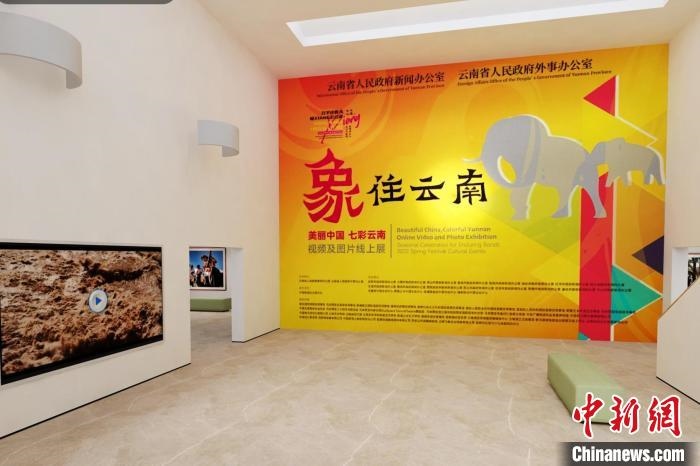 圖為“象”往云南——美麗中國 七彩云南視頻及圖片線上展截圖?！『h(yuǎn)航 攝