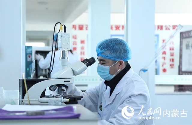 內(nèi)蒙古中農(nóng)興安種?？萍加邢薰韭鋺艨朴抑衅?，為肉牛產(chǎn)業(yè)發(fā)展提供了優(yōu)質(zhì)的種源保障。白俊華攝