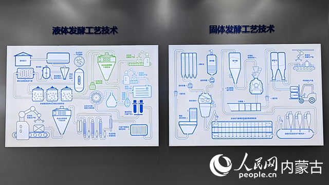 科拓生物工藝技術(shù)展示。人民網(wǎng)記者 張雪冬攝