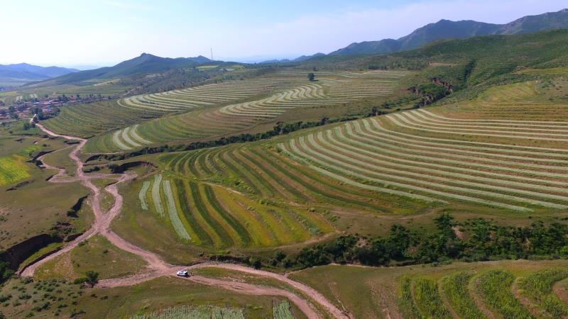 1589419151725962.jpg 微信圖片_20200514091436.jpg