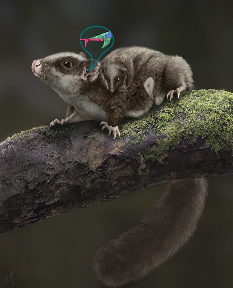 1611822102698000.png 微信圖片_20210128161812_副本.png