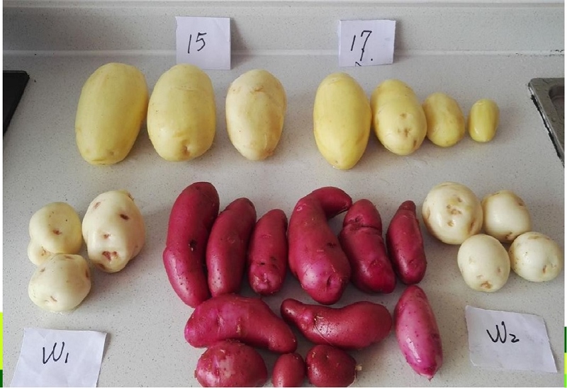 1630979179133986.png 微信圖片_20210907094134.png