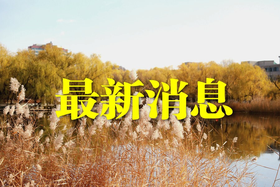 1631520593201704.jpg 7-201105095J5_副本.jpg