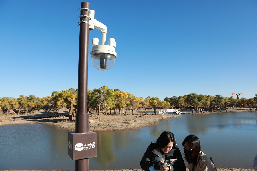 1633877367241064.jpg 7O5A7589.JPG