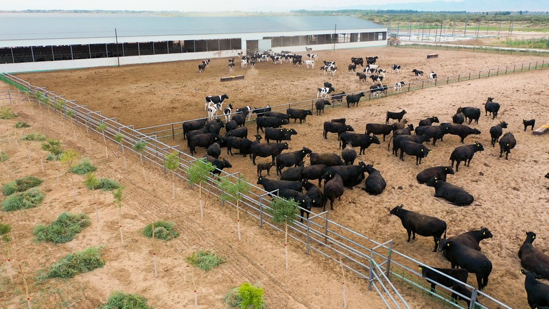 1650300826486560.jpg 微信圖片_20220418174237.jpg