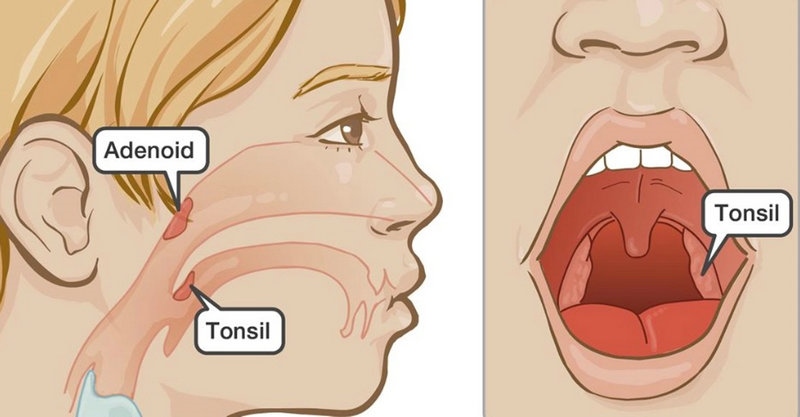 1652667910555798.jpeg d1bd662f2b51d4651f028c141c4bb6bd_副本.jpeg