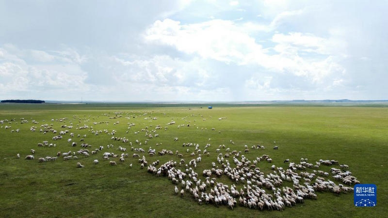 1656664576633815.jpg 00300572897_8b88d8fa_副本.jpg