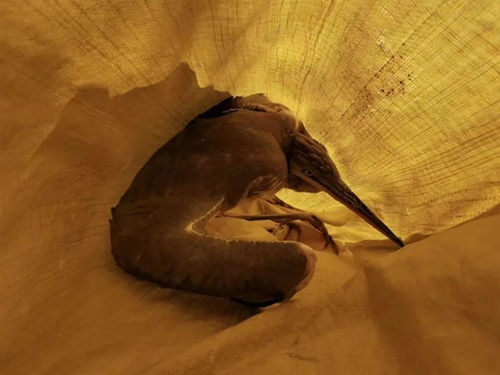 1666944190230650.jpg 微信圖片_20221028155649_副本.jpg