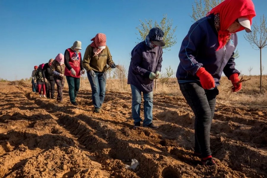 1677149079811794.png 圖片3.png