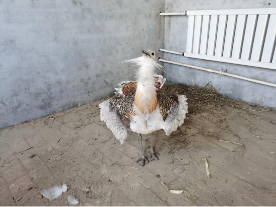 1678276340810159.png image.png