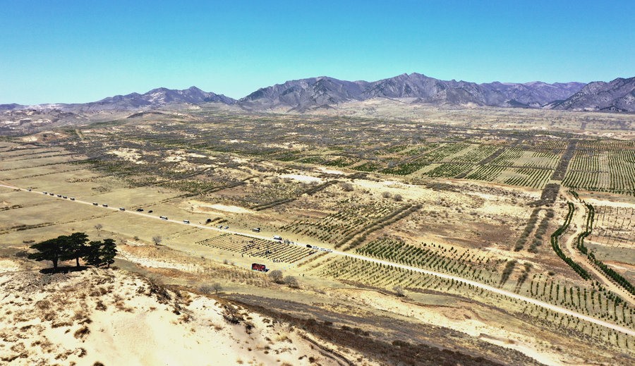 1682151079114077.jpg 微信圖片_20230422152031_副本1.jpg