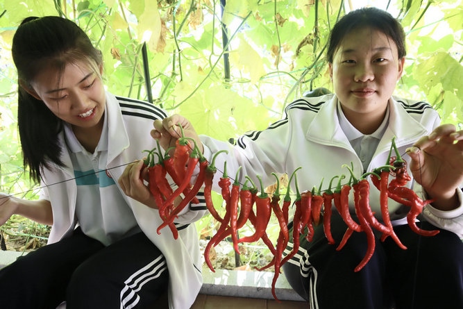 1694593818245668.jpg 3.jpg