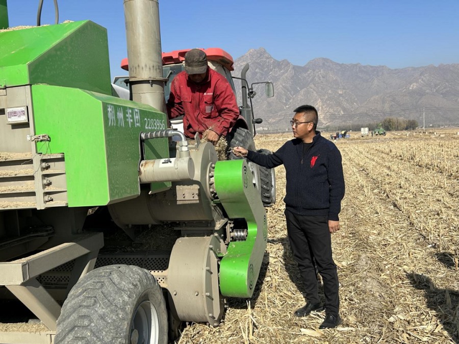 1698335012125235.png 03.png