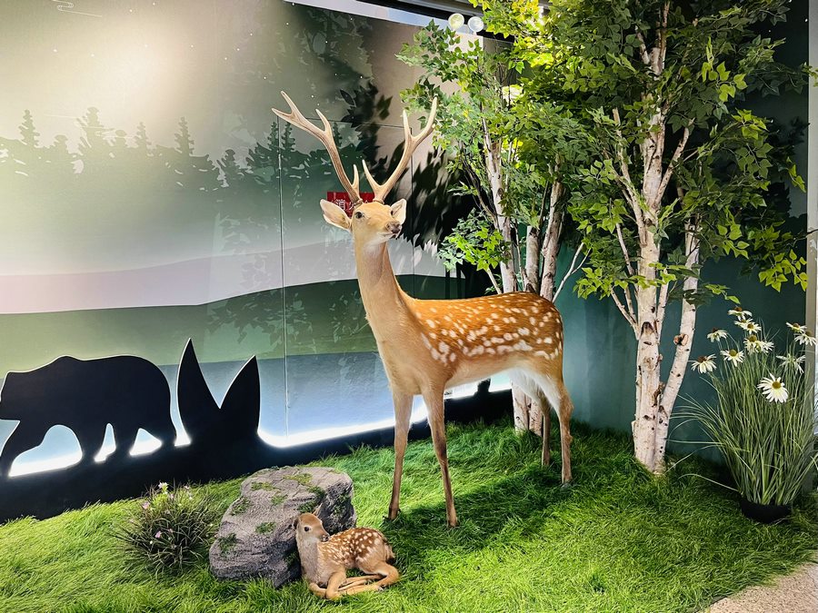 生態(tài)文學(xué) (6).png