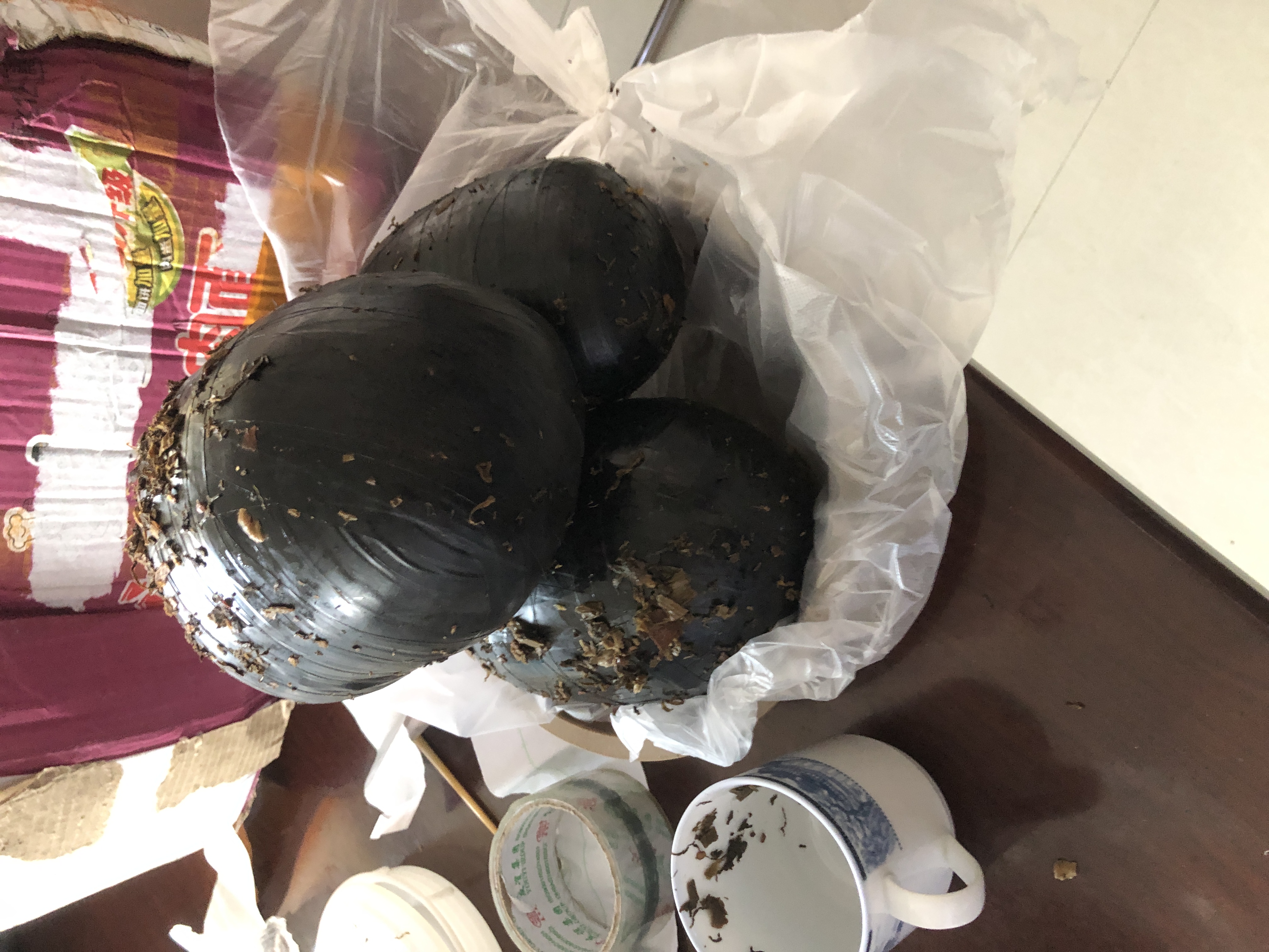 1712895296102609.jpg 1712895296102609.jpg