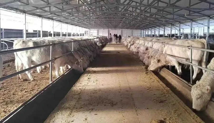 1715005220120962.jpg 640 (1)(1).jpg