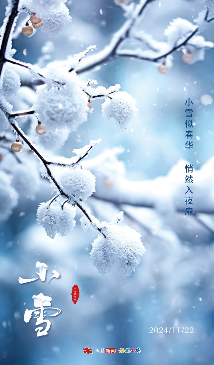 1732239038882323.jpg 20241122小雪.jpg