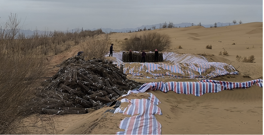 1739434717139220.png 1.png