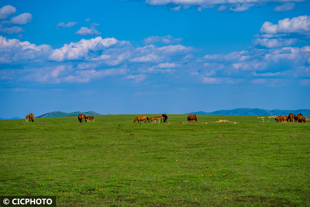 1751701788127528.jpg 1751701788127528.jpg