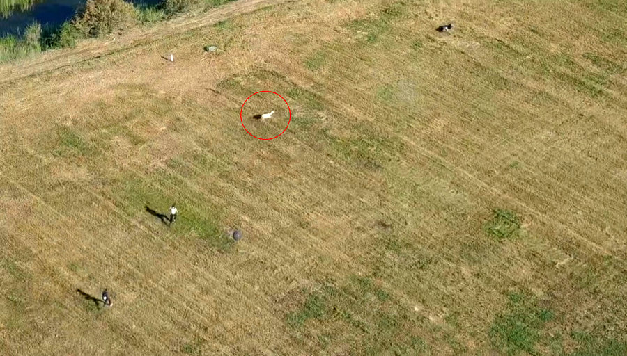 1753083263393482.jpg 20250721153317.jpg