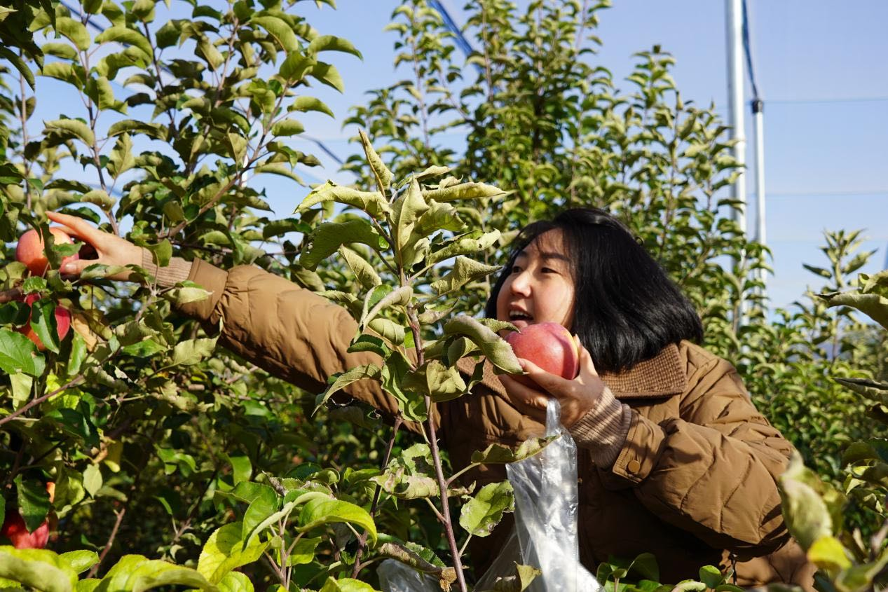 1761115665112183.png 3圖片1.png