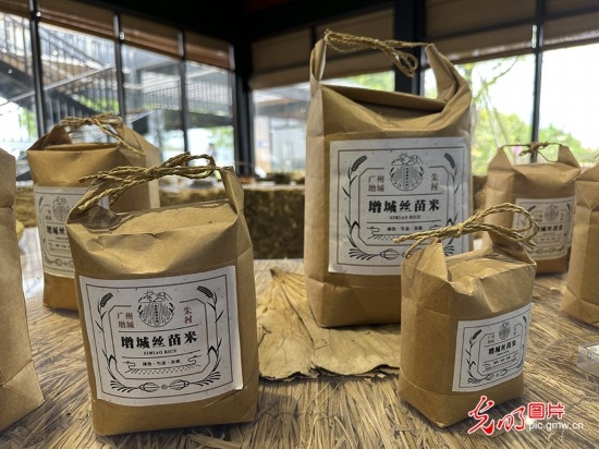 【高質量發(fā)展看中國】5G智慧農業(yè) 種出高質量好味“稻”