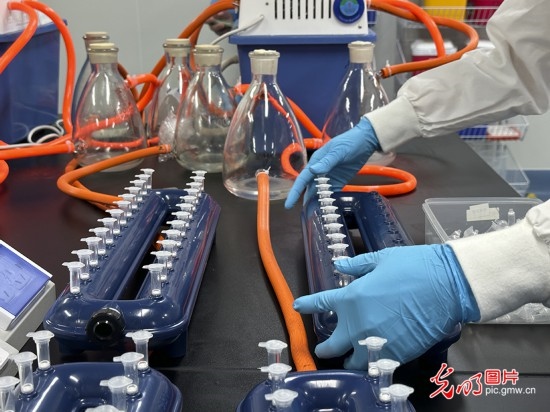 【高質(zhì)量發(fā)展看中國】基因遞送排頭兵 可實現(xiàn)“個性化”定制