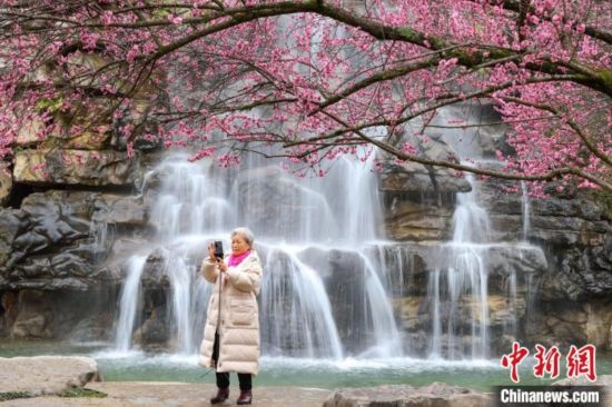 2月23日，市民在乾藝梅園景區(qū)拍攝綻放的梅花。瞿宏倫 攝