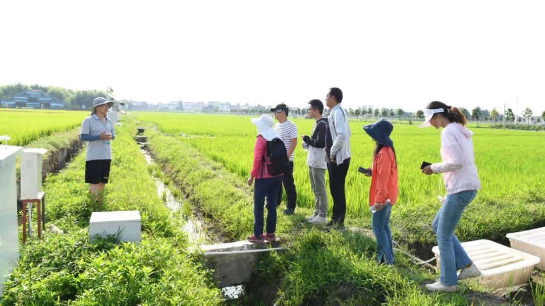 △云南大理古生村科技小院成員在田間調查。