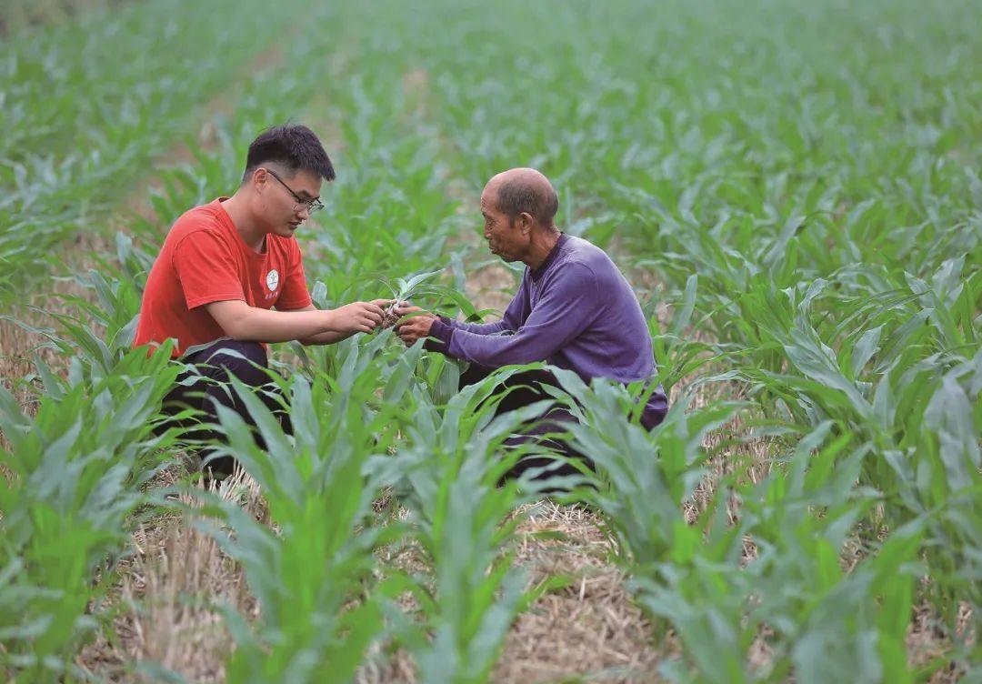 △科技小院的學生在給村民講解玉米種植知識。
