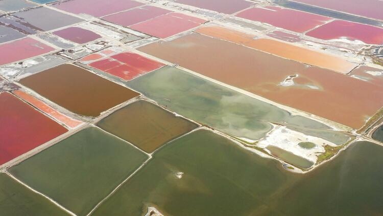 鑒往知來，跟著總書記學(xué)歷史丨走進一座博物館，尋根五千年中華文明