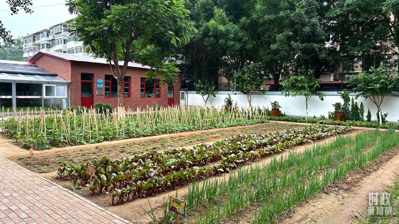 △學生農(nóng)場。（總臺央視記者趙化拍攝）