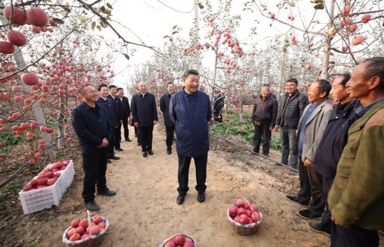 2022年10月26日，習近平總書記在陜西省延安市安塞區(qū)高橋鎮(zhèn)南溝村蘋果園同老鄉(xiāng)們親切交流。