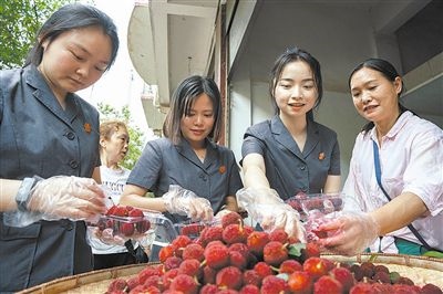 志愿者和村民一起將摘下的楊梅裝進(jìn)食品盒里。