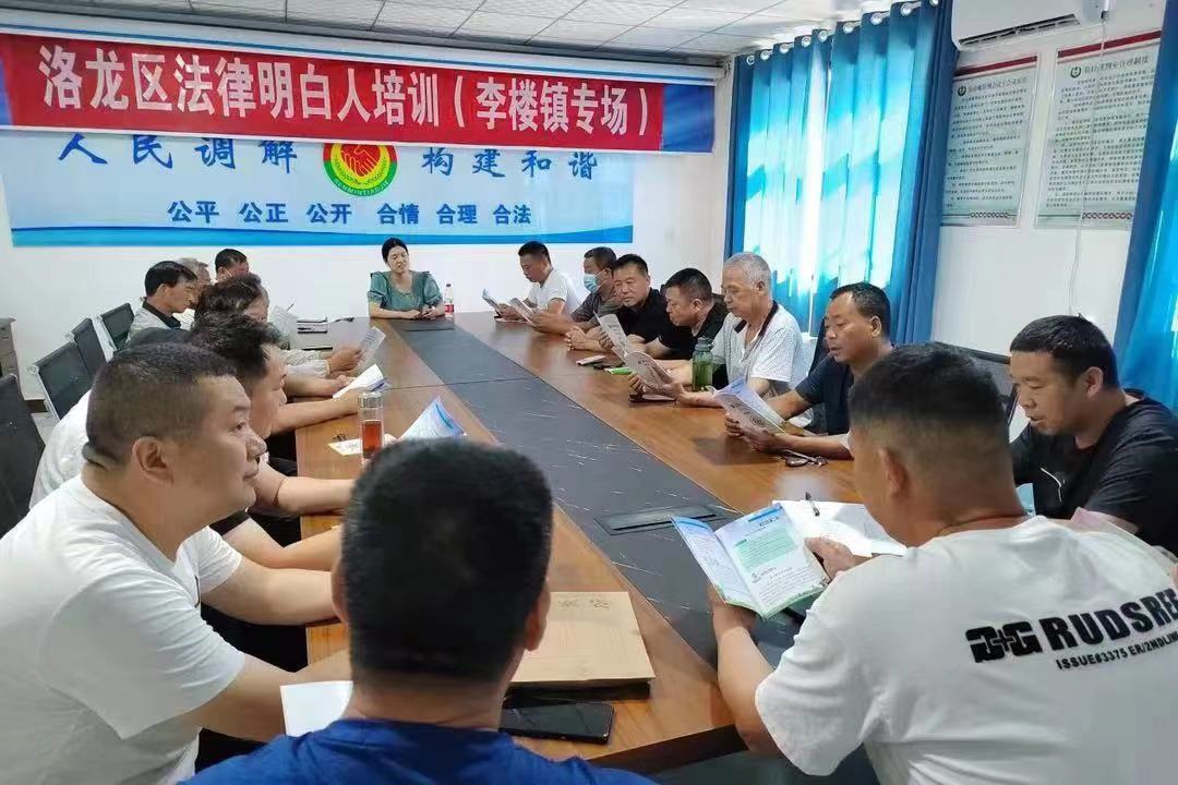 河南省洛陽市洛龍區(qū)李樓司法所開展《民法典》專題普法講座暨“法律明白人”培訓(xùn)。河南省司法廳供圖