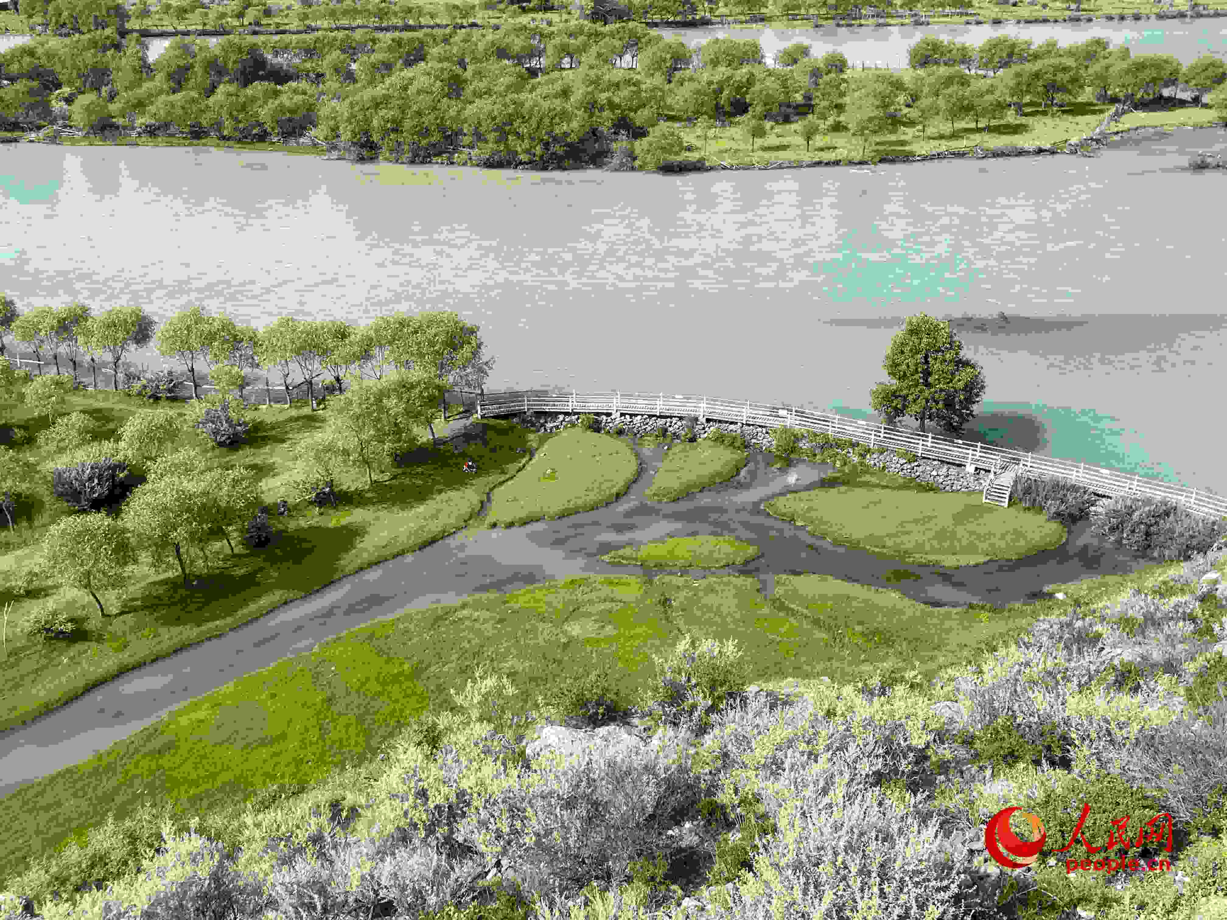 夏日的雅尼國(guó)家濕地公園生機(jī)盎然，如詩(shī)如畫。人民網(wǎng) 周靜圓攝