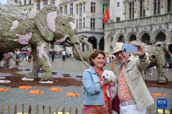 8月11日，觀眾在比利時(shí)布魯塞爾“鮮花時(shí)光”展覽上拍照。新華社記者 趙丁喆攝