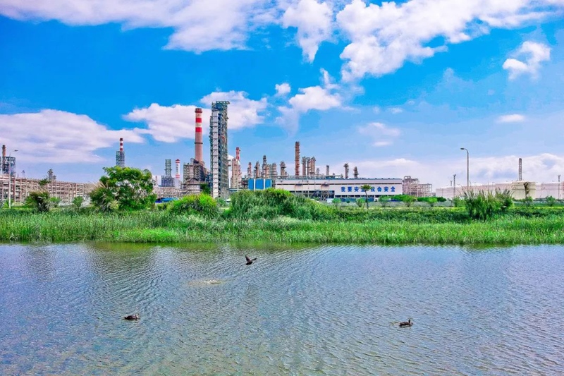 中化泉州石化廠區(qū)。受訪者供圖