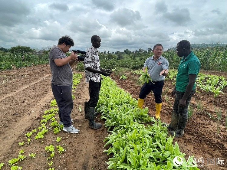 人民網(wǎng)記者走進(jìn)尼日利亞農(nóng)業(yè)技術(shù)示范中心。人民網(wǎng)記者 趙艷紅攝