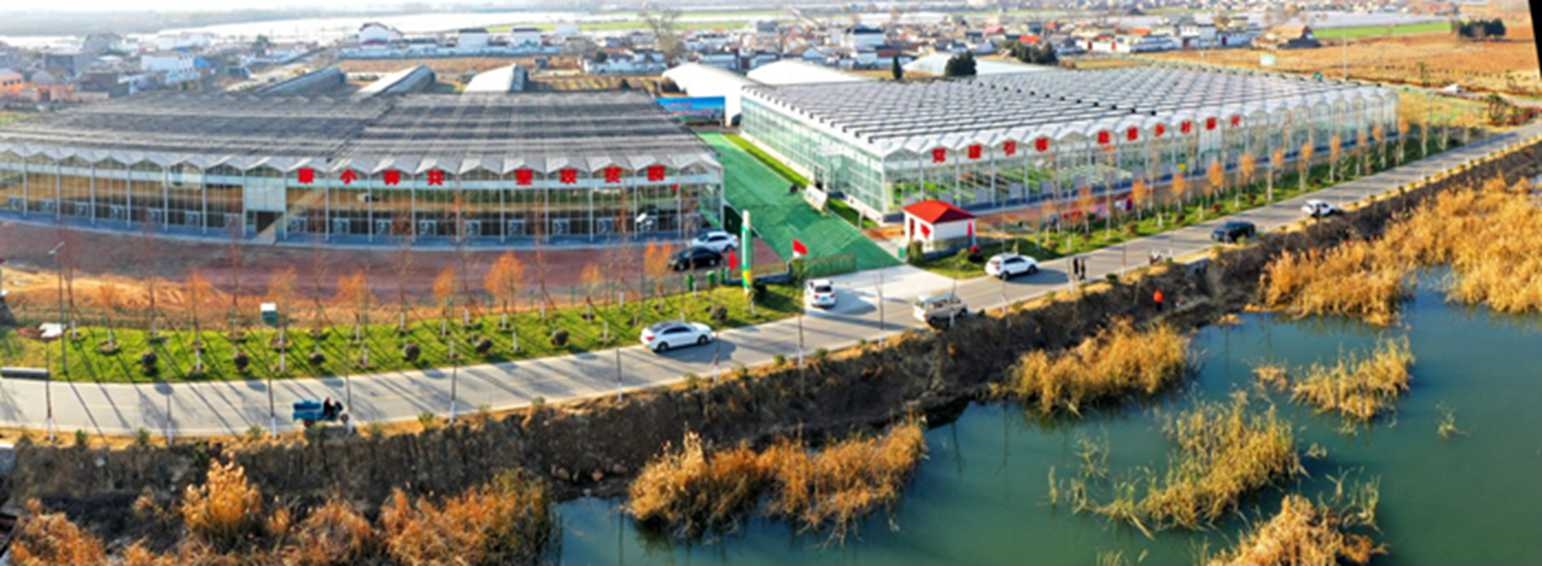 白樓灣三產(chǎn)融合發(fā)展。宋道森攝