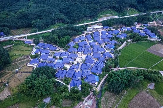 磨憨鎮(zhèn)曼莊村大龍哈小組現(xiàn)代化邊境幸福村新貌。人民網(wǎng)記者 符皓攝