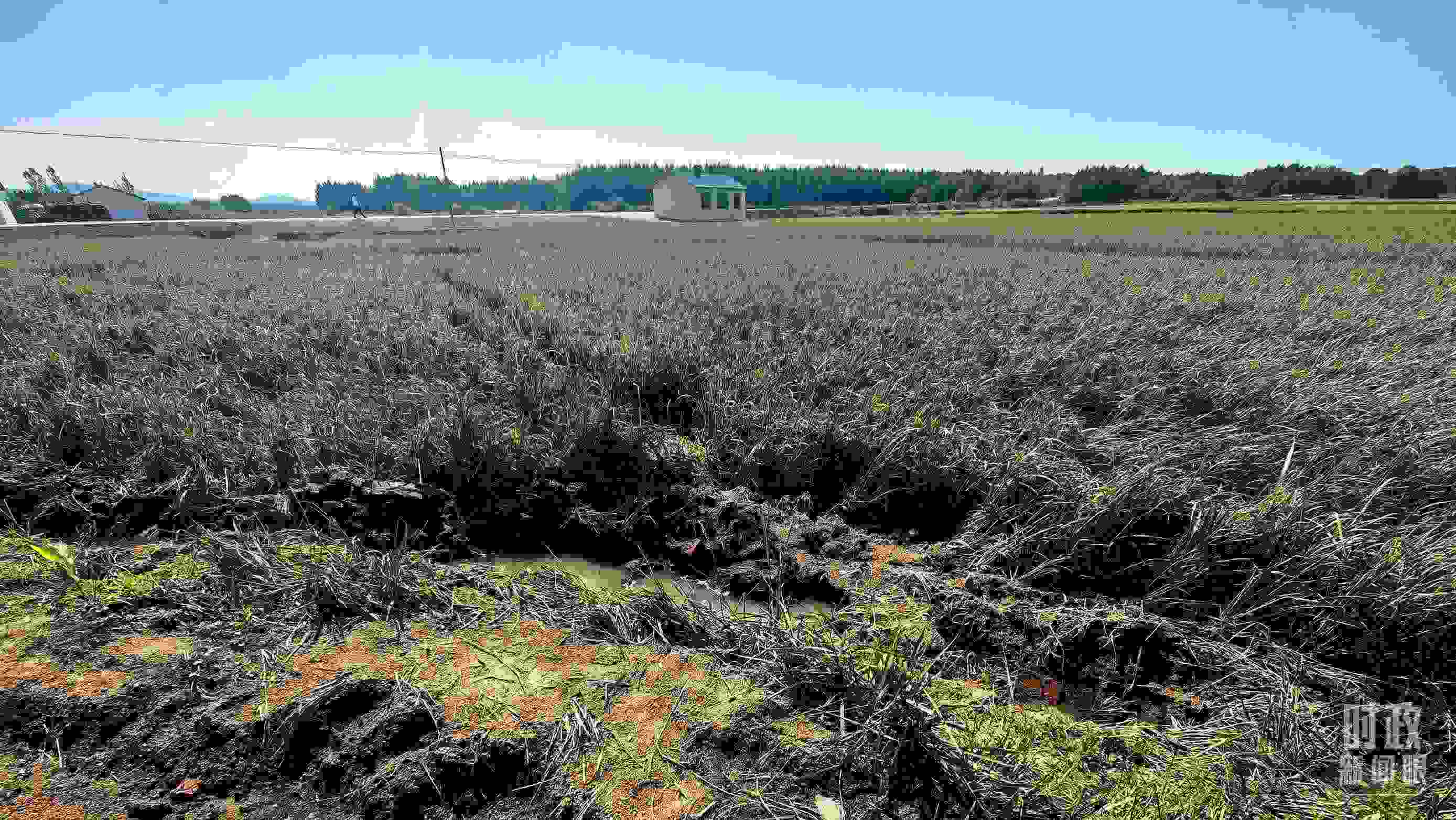 △圖為龍王廟村在洪災(zāi)中受損的農(nóng)田。（總臺(tái)央視記者史偉拍攝）