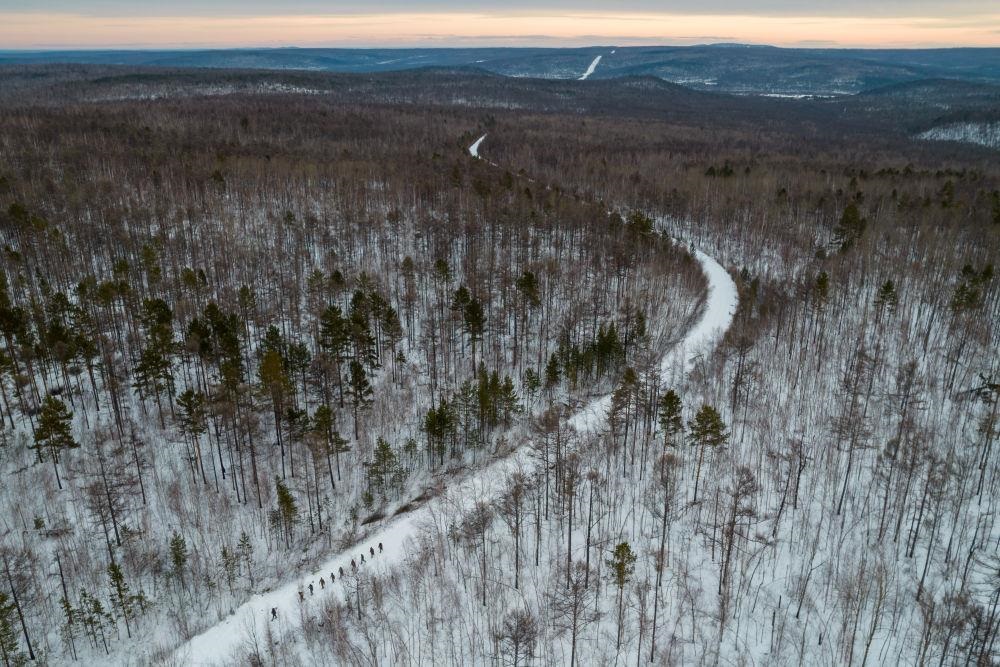 △2023年1月，漠河林場數(shù)十名職工自發(fā)組成的森林撫育隊伍，在人跡罕至的山林中作業(yè)。