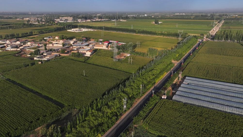 東興村周邊建起防護林網(wǎng)（無人機照片，2023年9月12日攝）。新華社記者李云平 攝