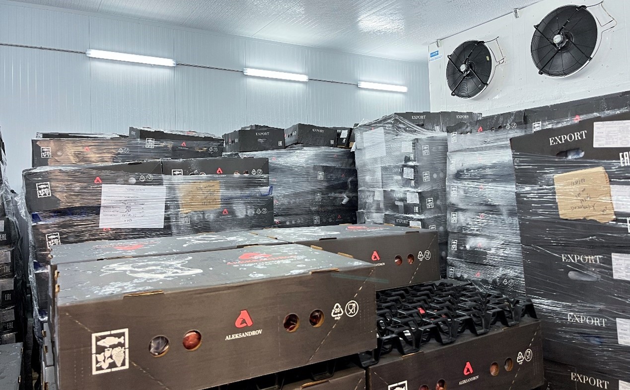 恒溫冷庫(kù)中，包裝好的牛肉等待發(fā)往中國(guó)。人民網(wǎng)記者 朱虹攝