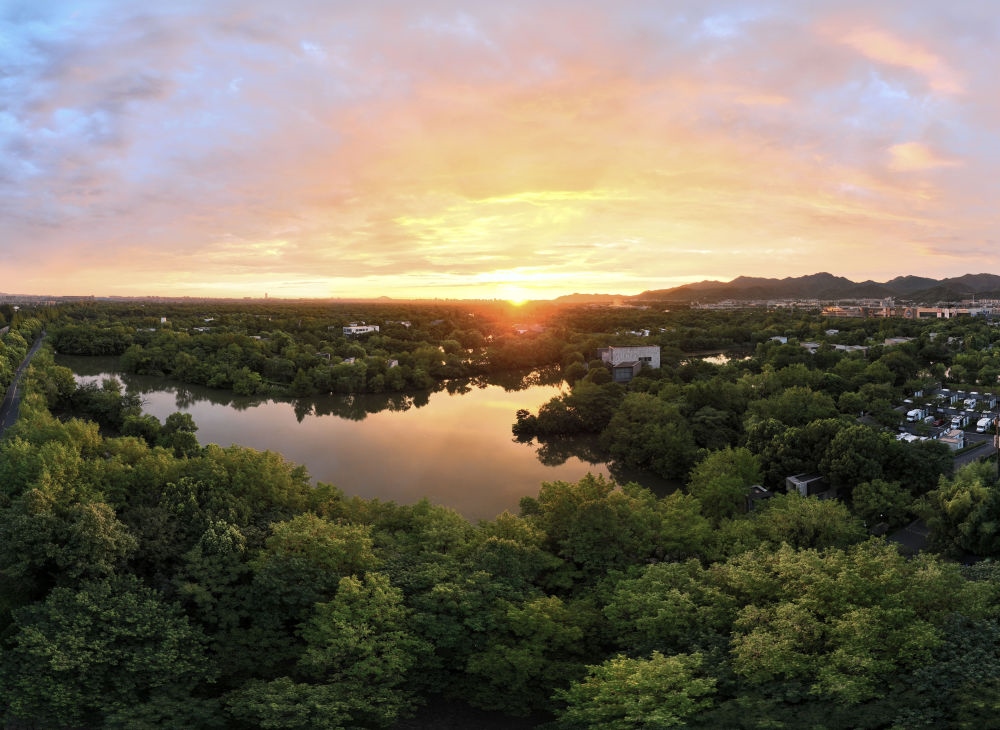 杭州西溪濕地日出景觀。