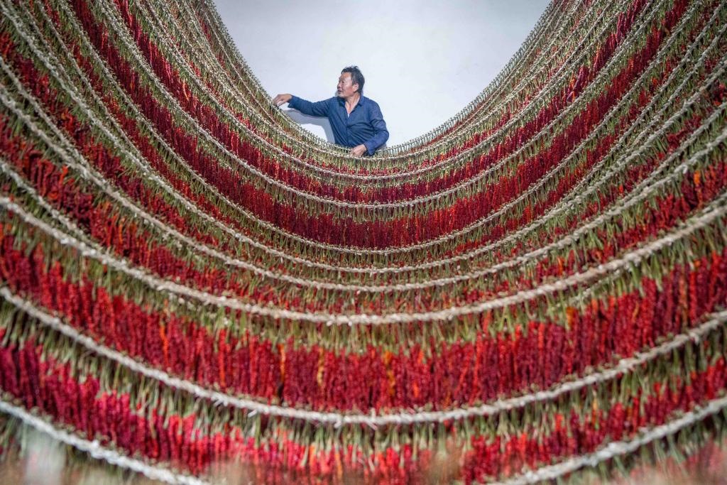 在貴州省畢節(jié)市大方縣理化鄉(xiāng)金雞村，村民查看辣椒烘干情況。新華社發(fā) 羅大富攝