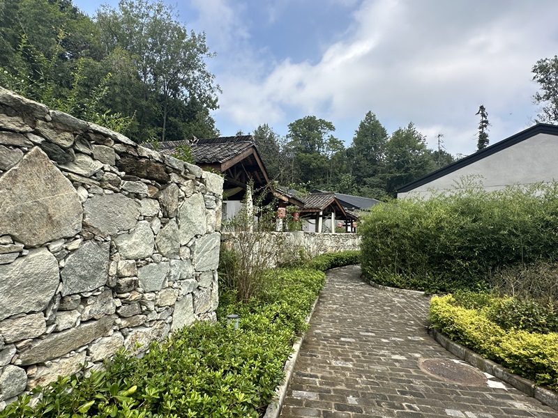 眾多民宿坐落于夫子山山麓。人民網(wǎng) 王紹紹攝